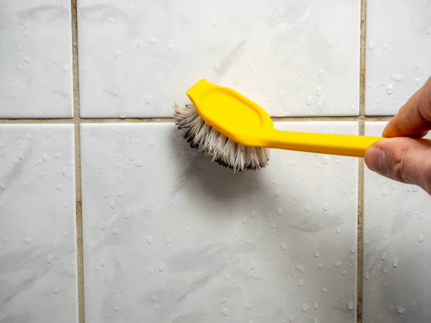 Best Mold Testing  in Farngton, MI