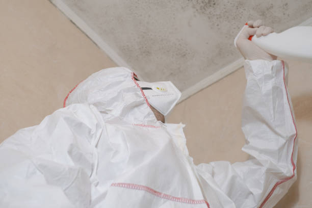 Best Toxic Mold Removal  in Farngton, MI
