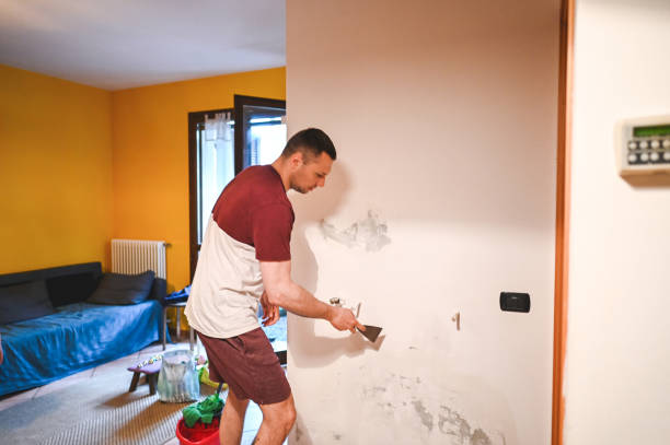 Best Professional Mold Removal  in Farngton, MI