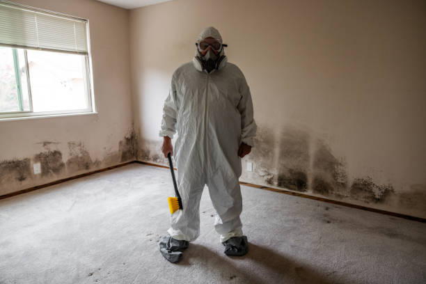 Best Mold Damage Repair  in Farngton, MI